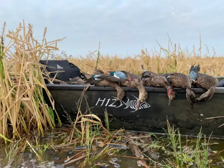 The Ascend H12 kayak in a duck hunting scenario