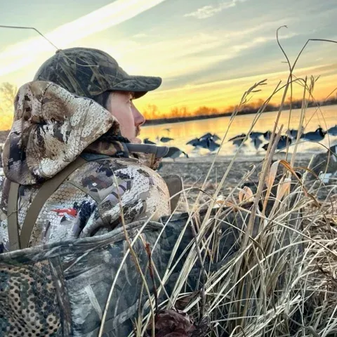 Sunrise over a kansas pond looking over a hunter in a layout blind with goose decoys in the background.