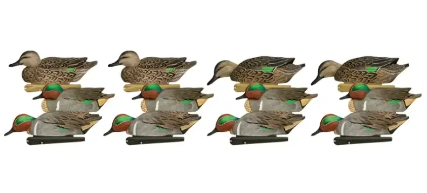 Avian-X TopFlight Teal 12 Pack