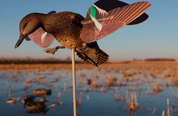 Avian X Powerflight Teal spinning wing decoy