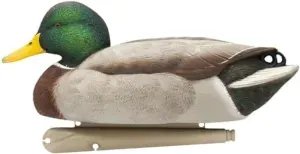 Avian-X Topflight