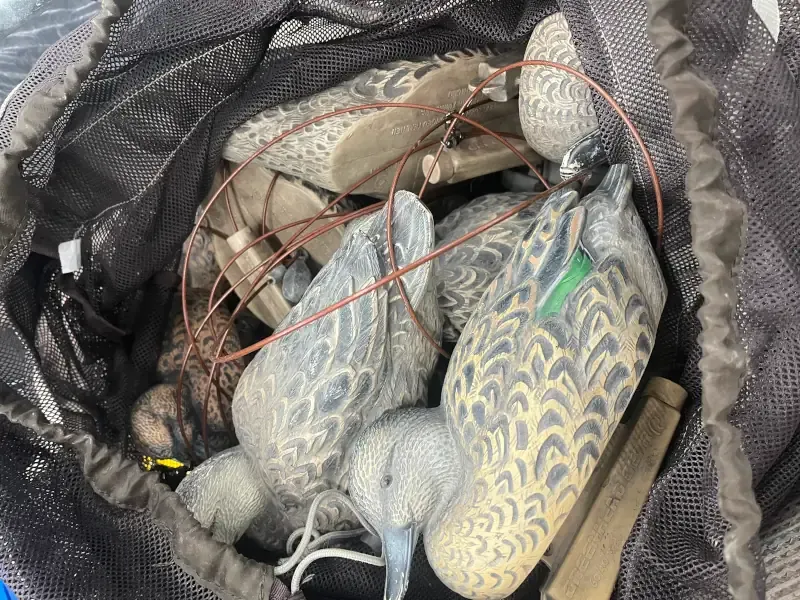 Early season teal decoys setting at the top of a mesh decoy bag.