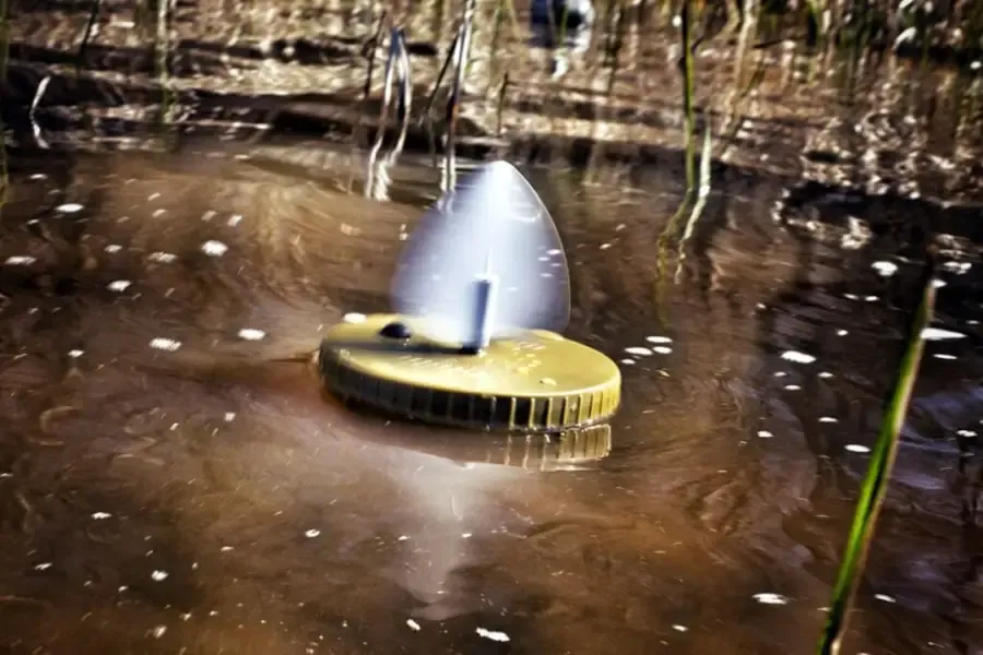 A single original flock a flicker floating in a marsh while spinning
