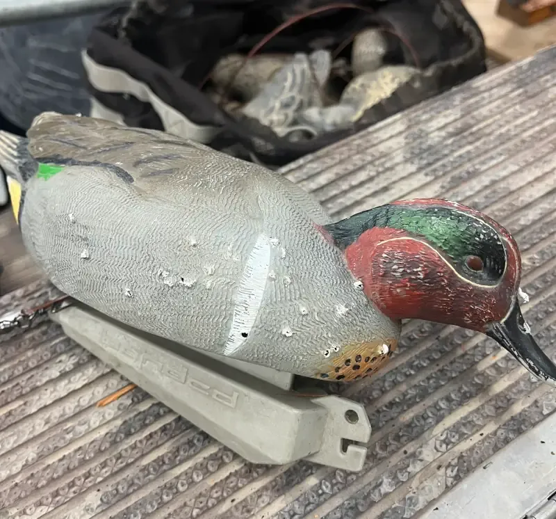A teal decoy with a few pellet holes in it after getting shot.