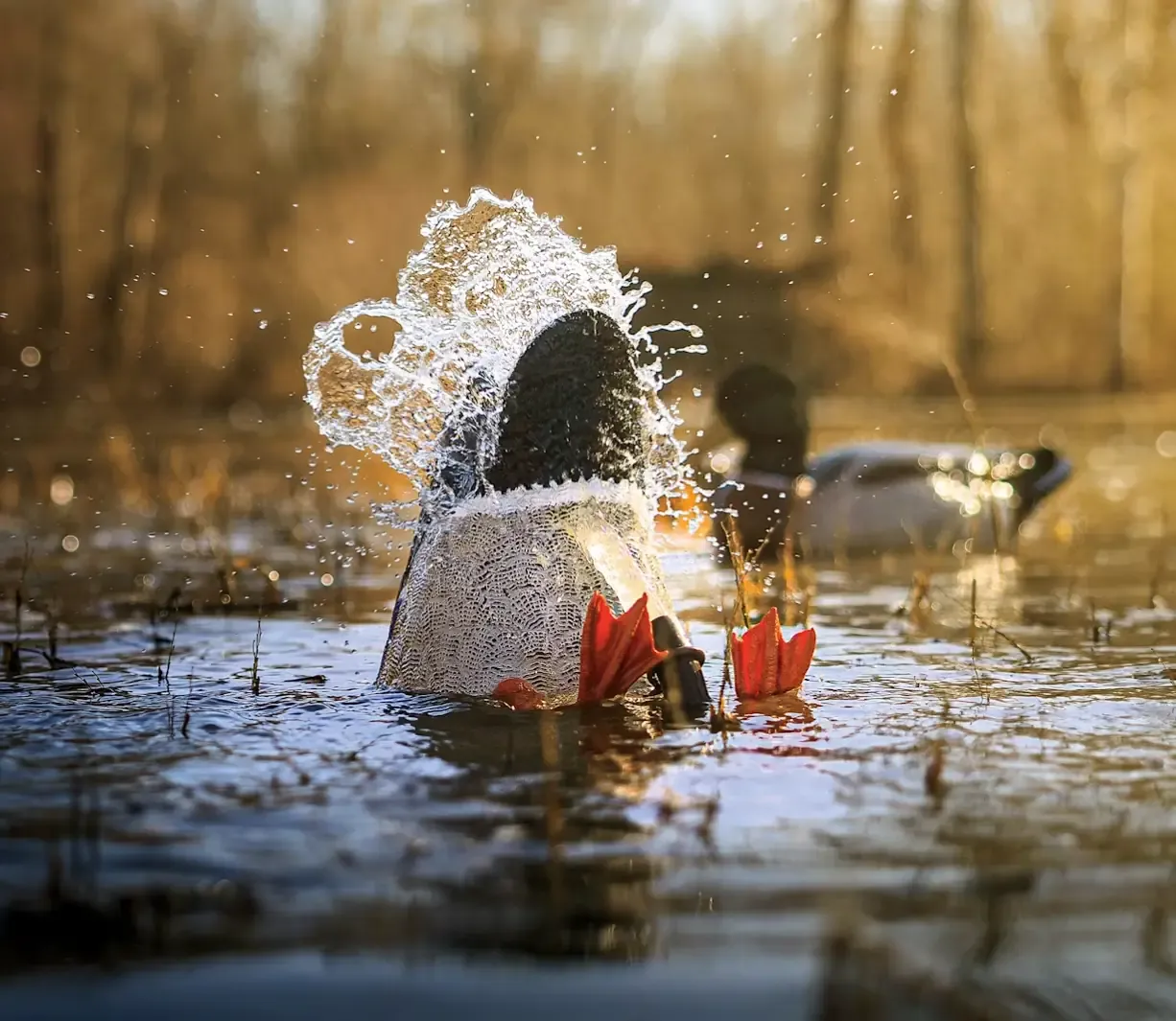 Higdon Pulsator water motion decoy