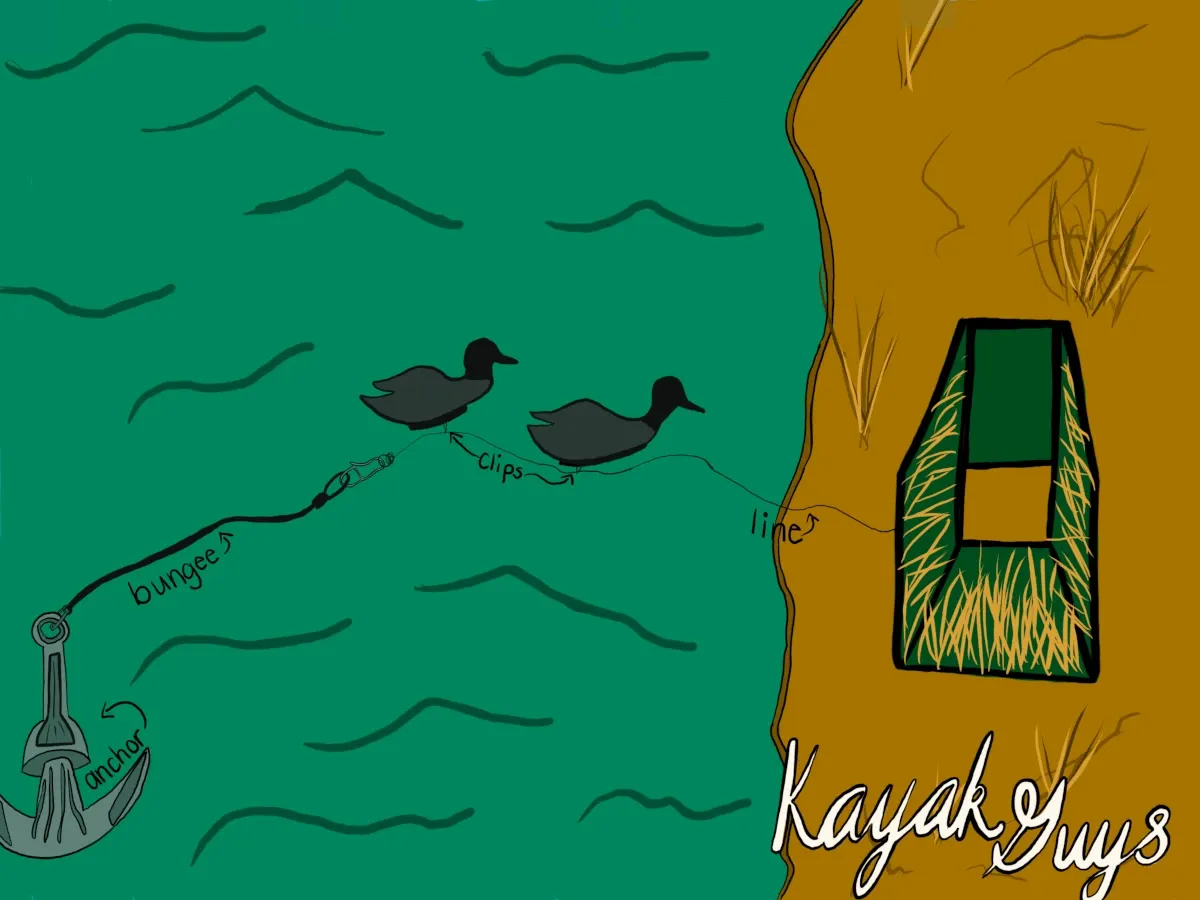 A digital drawing of a jerk rig showing the anchor, bungee cord, clips, and main line going back to a duck blind at the edge of the water.