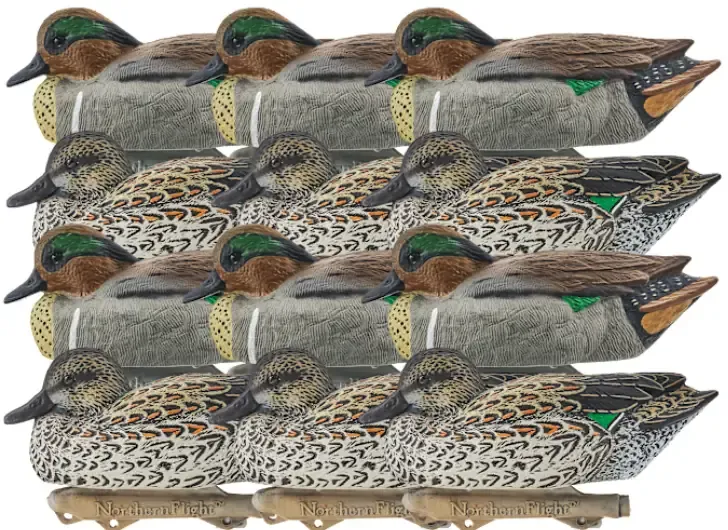 Northern Flight Teal