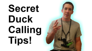 Secret Duck Calling Tips